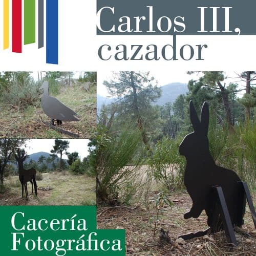 Cacería fotográfica
