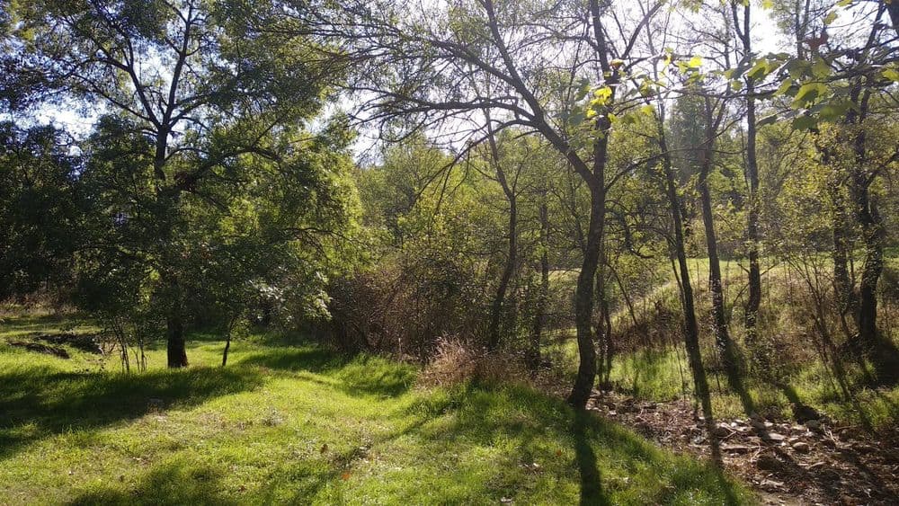 Acceso al Bosque de la Herrería