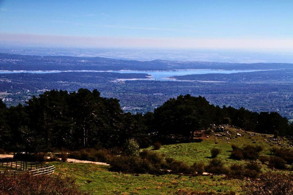 Pinar de Abantos